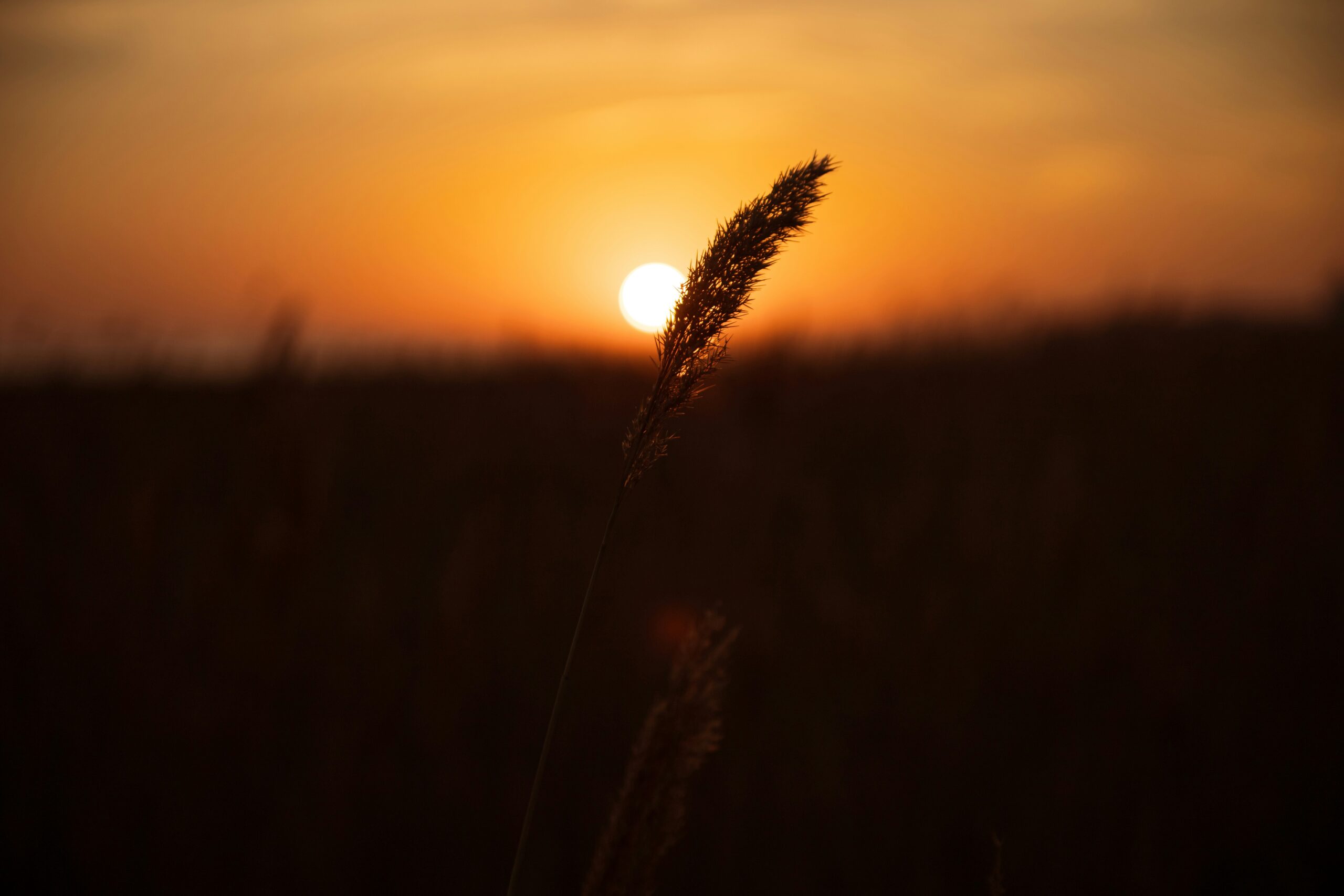 que faire après les obsèques