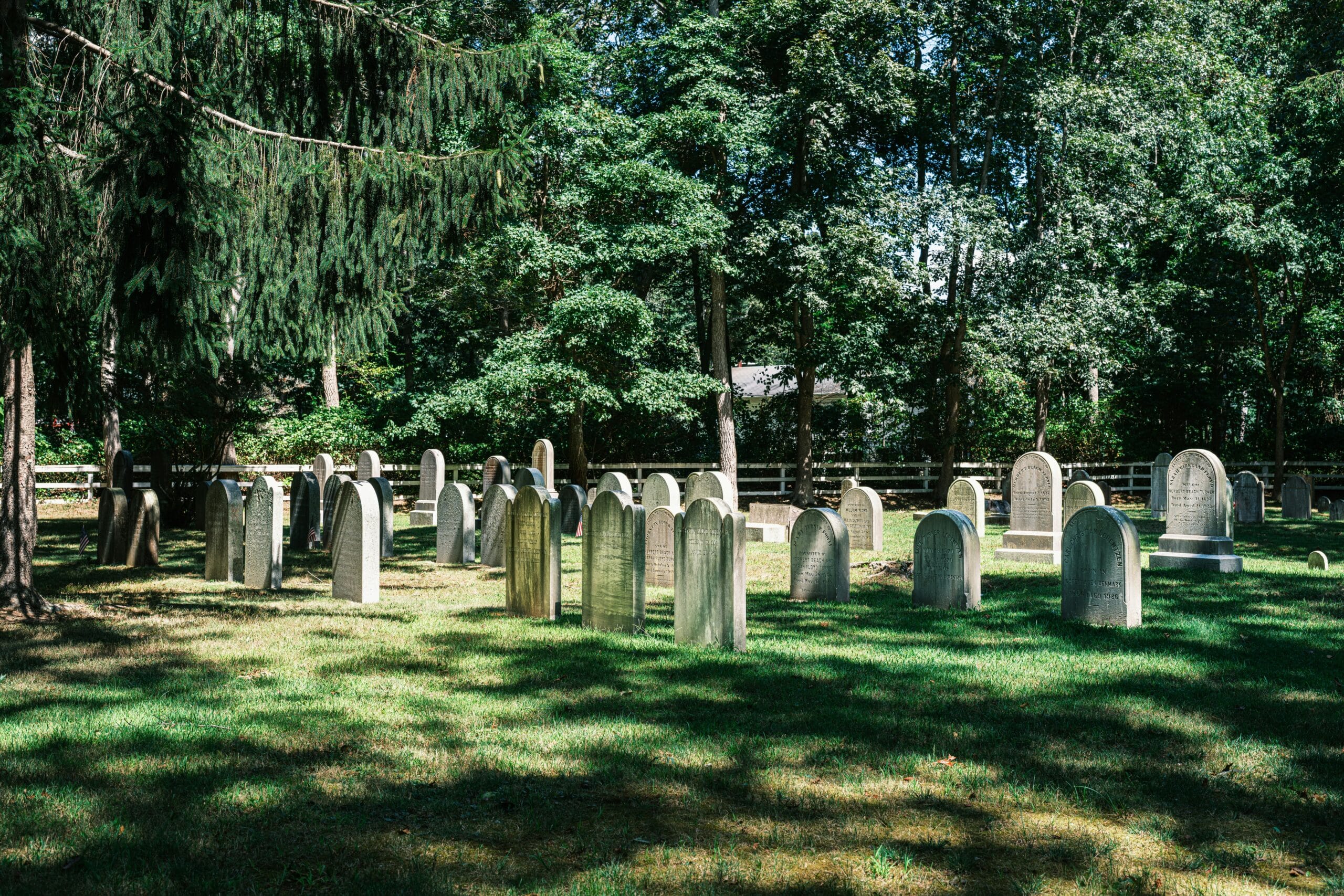 cimetière entouré d'arbres